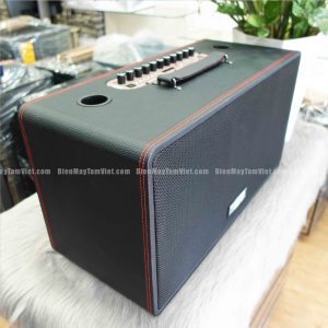 loa-karaoke-xach-tay-temeisheng-noi-dia-trung-8018-02
