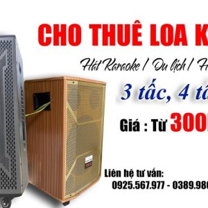 thue-loa-tam-viet